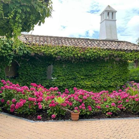 Villa Montana Geraardsbergen Dış mekan fotoğraf