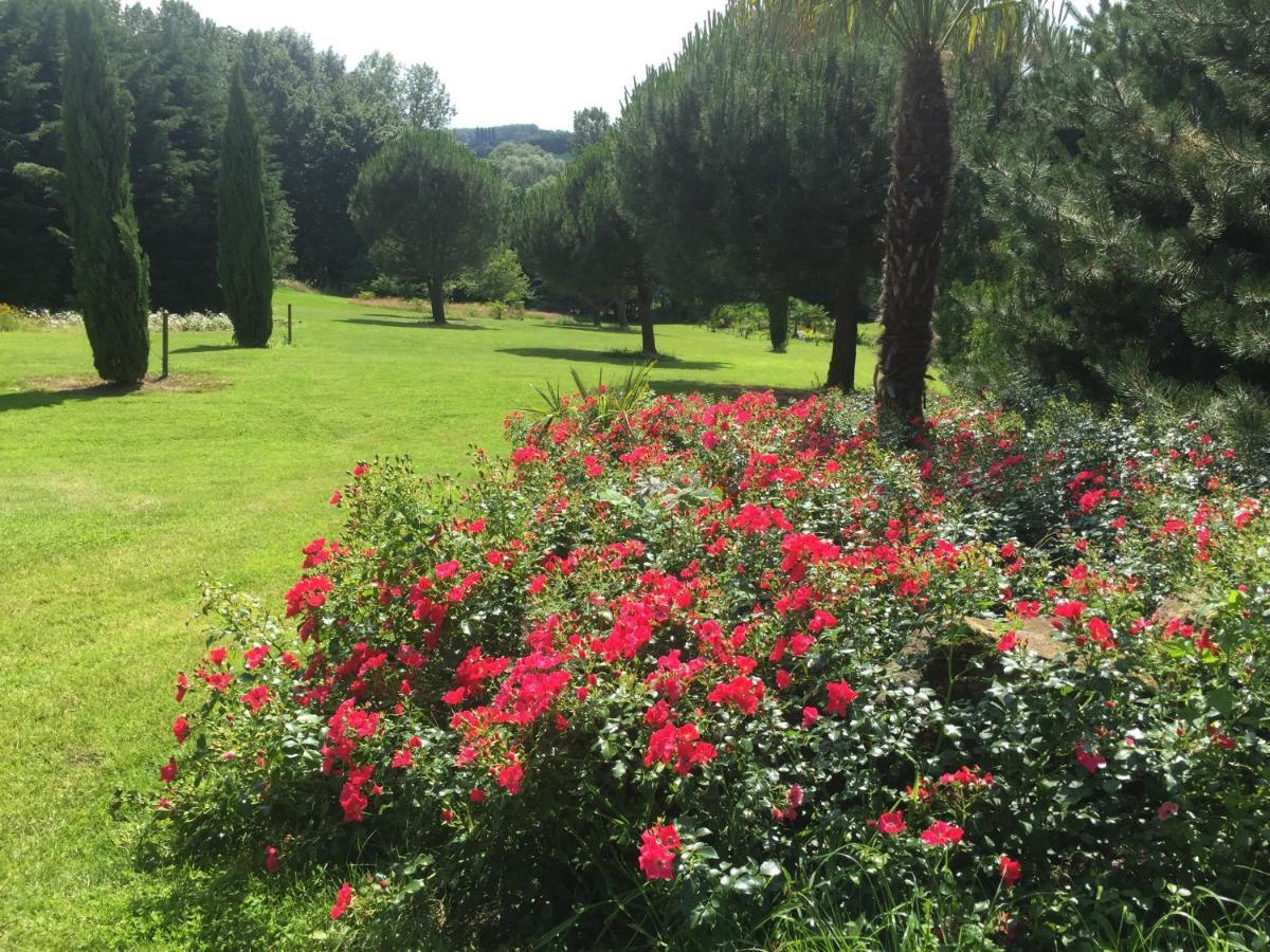 Villa Montana Geraardsbergen Dış mekan fotoğraf