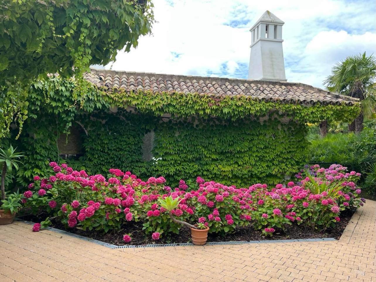 Villa Montana Geraardsbergen Dış mekan fotoğraf